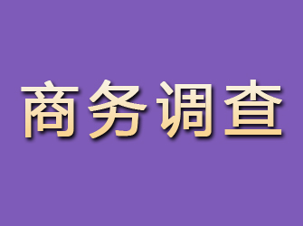 宾川商务调查